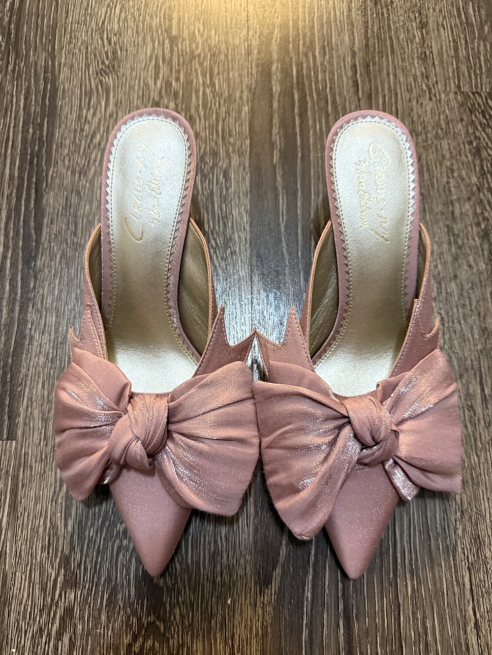 Circus by Sam Edelman Dusty Rose Bow Pointed-Toe Mules